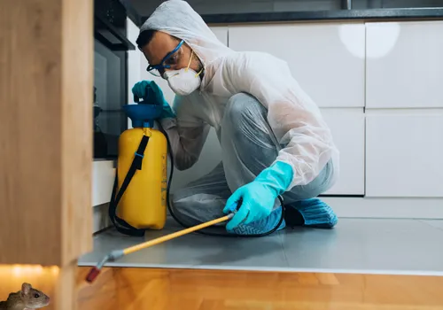Pest control team working on-site