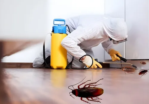 Oro-Guard professional disinfection service