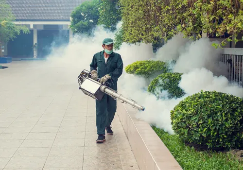 Commercial pest control for a hotel