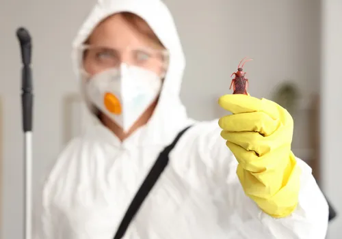 The Oro-Guard Pest Solutions team